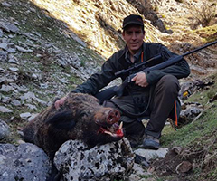 La RFEC y la Federación Asturiana piden al Principado que deje en manos de los cazadores el control del jabalí 